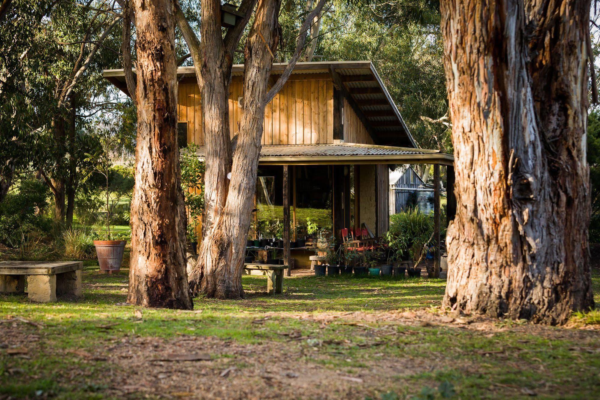 Willa The Burrow At Wombat Bend Dixons Creek Zewnętrze zdjęcie