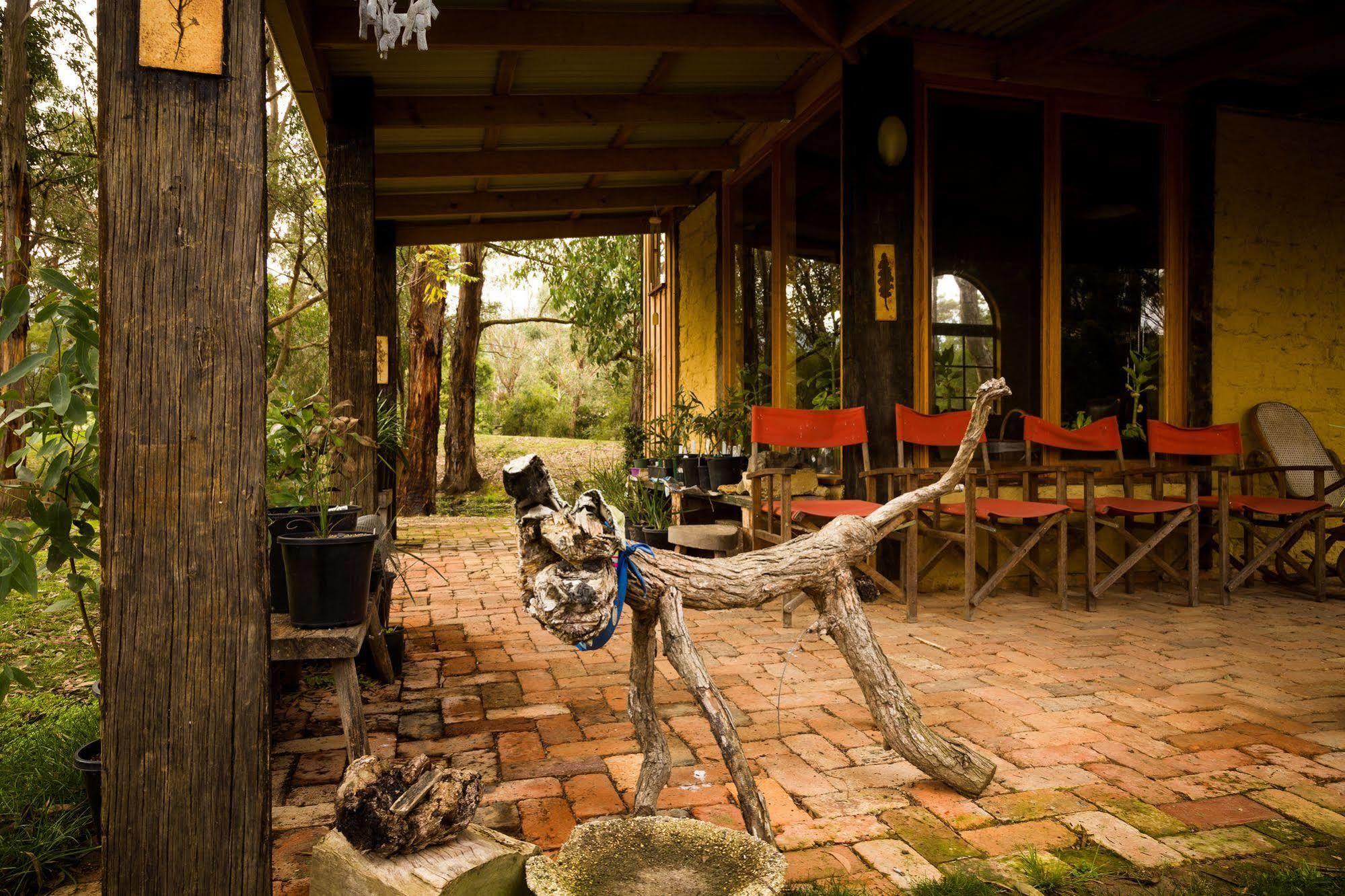 Willa The Burrow At Wombat Bend Dixons Creek Zewnętrze zdjęcie